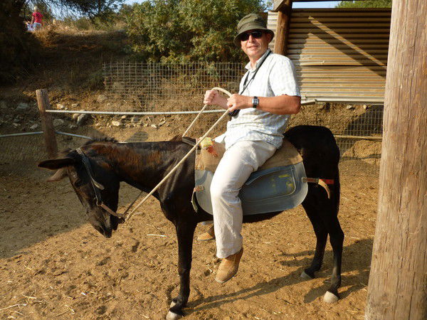 Поробов Александр