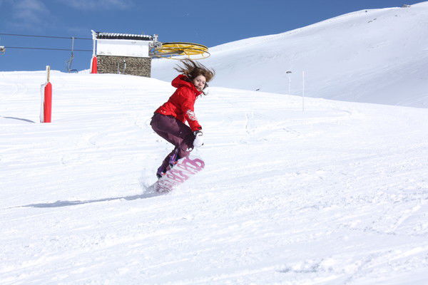 Светлана Комиссарова