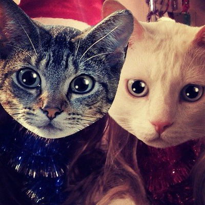 Надежда Степанова