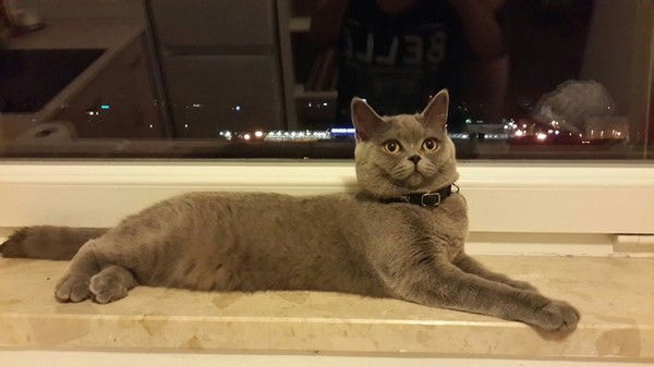 Полина Вишневская