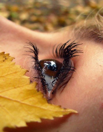 Елена Глебова