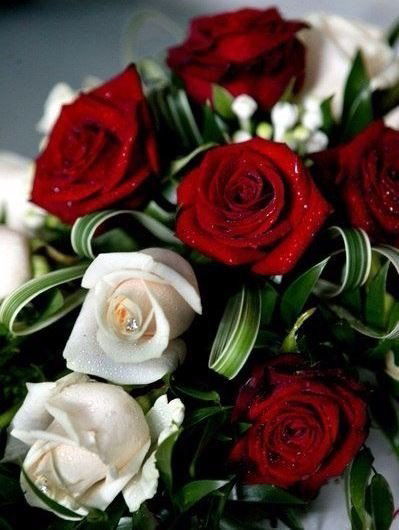 Ирина Редченко