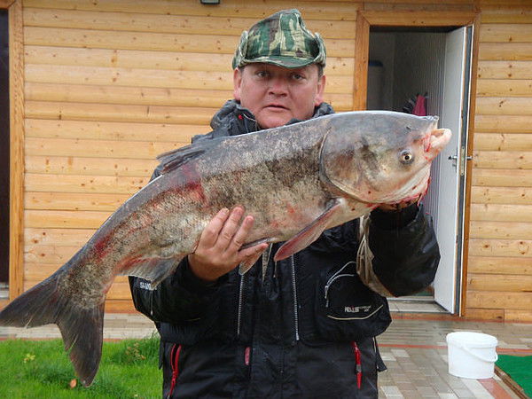 Валерий Корейша