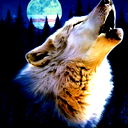 Сергей Маряшин