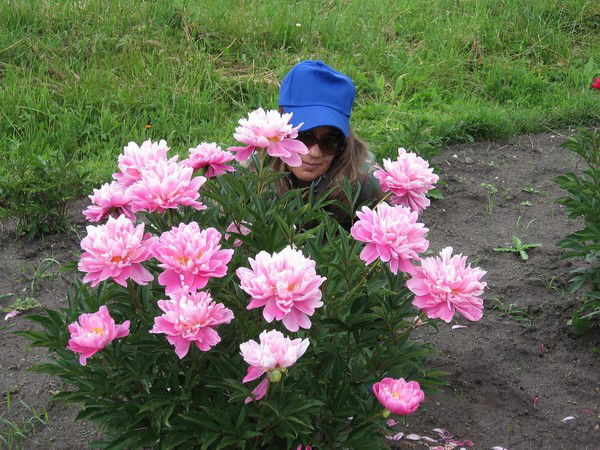 Тамара Немцева