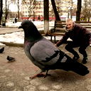 Александр Санников