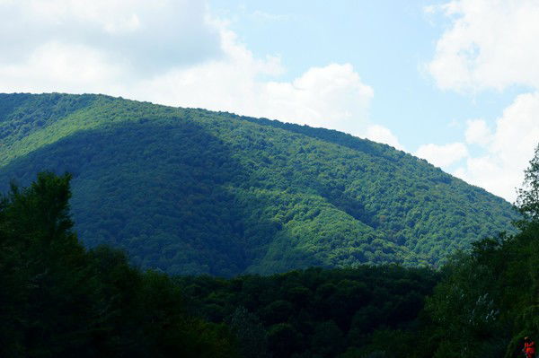 Гульнар Азимбаева