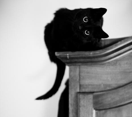 Валера Текутов