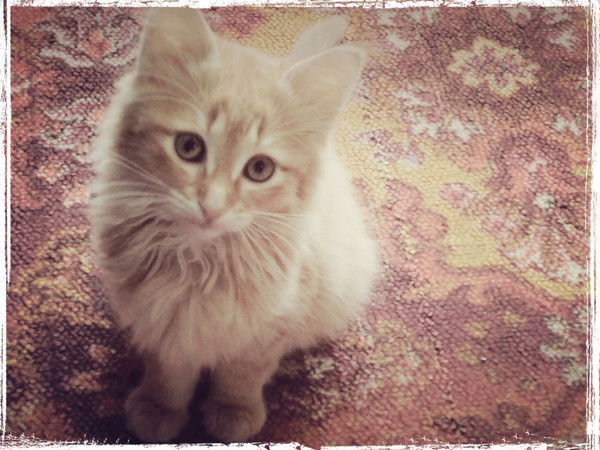 Татьяна Александрова