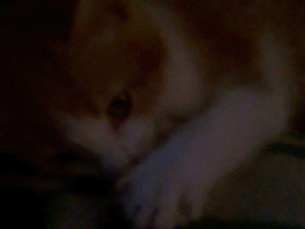 Валентина Вербицкая