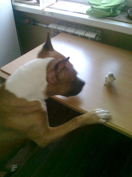 Оксана Шумилова