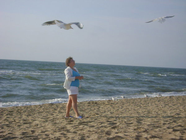 Светлана Матреницкая