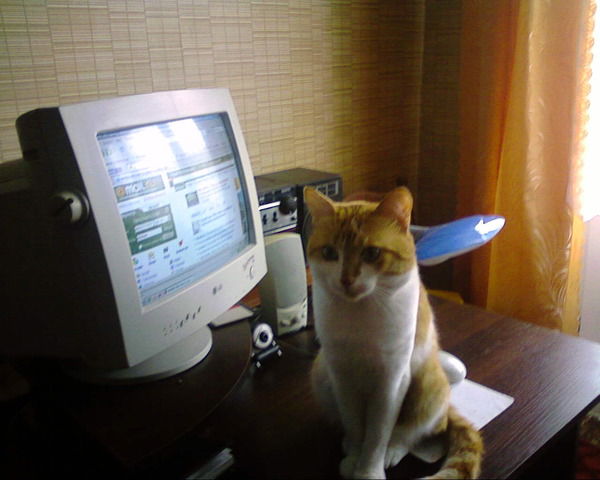 Николай Громов