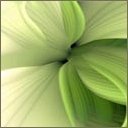 Татьяна Cтепанова