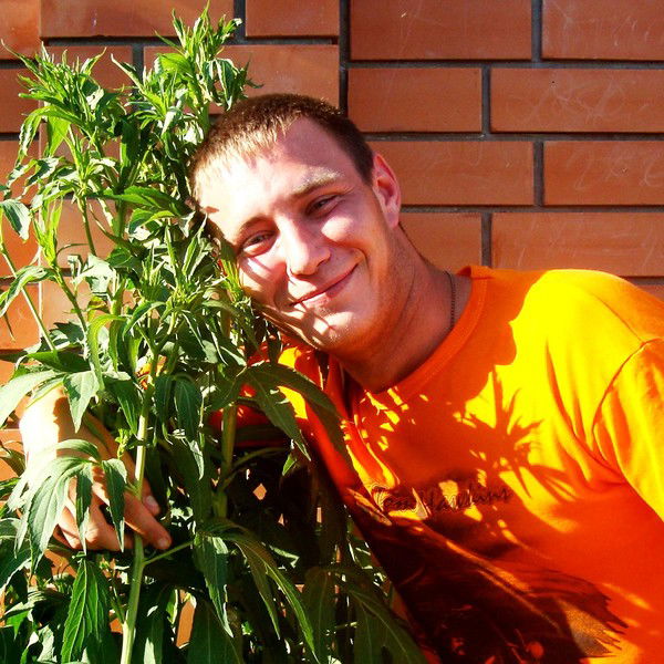 Антон Чаплыгин