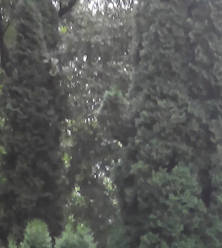 Вікторія Бовгиря