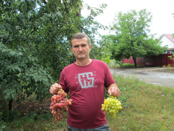 Игорь Викторович Сологуб