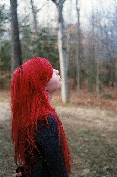 Анна Ангелуш