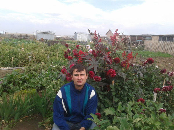 Николай Владимирович