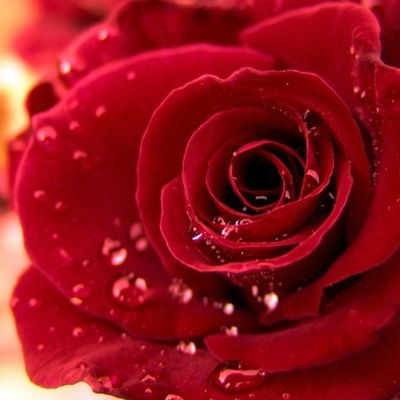 Аля Акимова