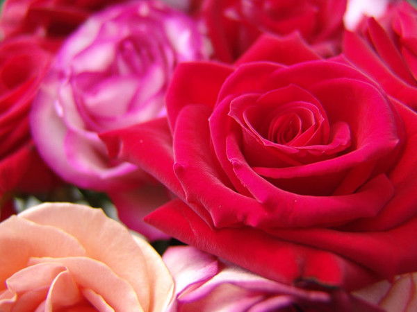 Центр Занятости Уалихановский