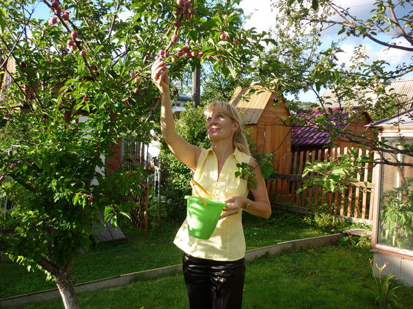 Лариса Лариса