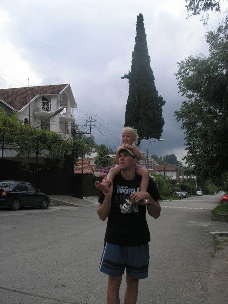 Дмитрий Гаев