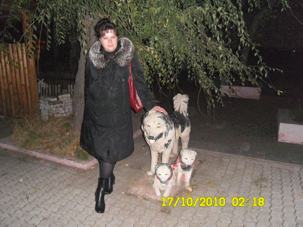 Елена Шипкова