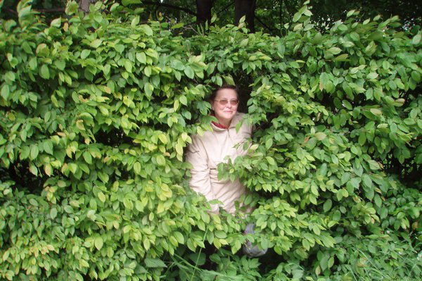 Анна Зинченко