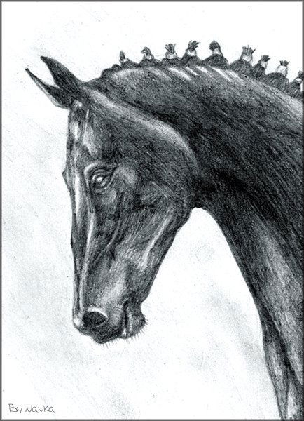 Света Москвина