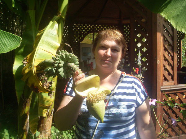 Алина Бекетова