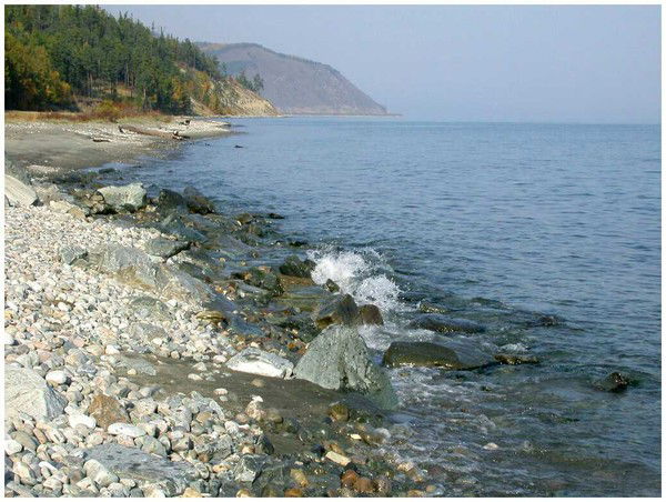 Света Конфета