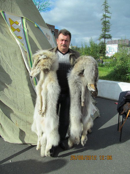 Сергей Каменецкий