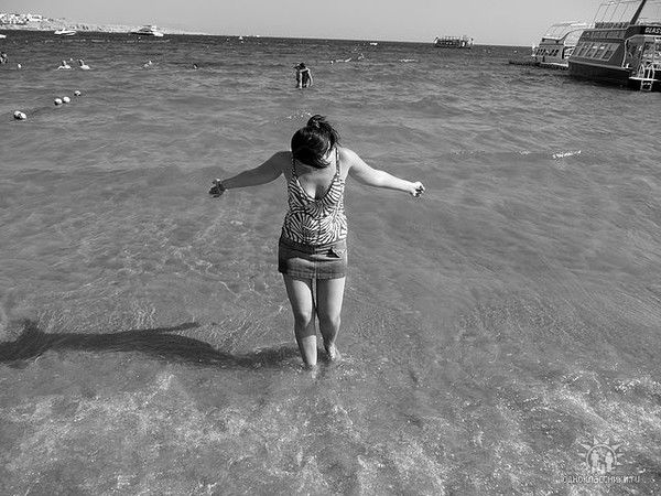 Алла Василевская