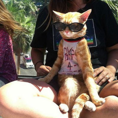 Мгер Акопян