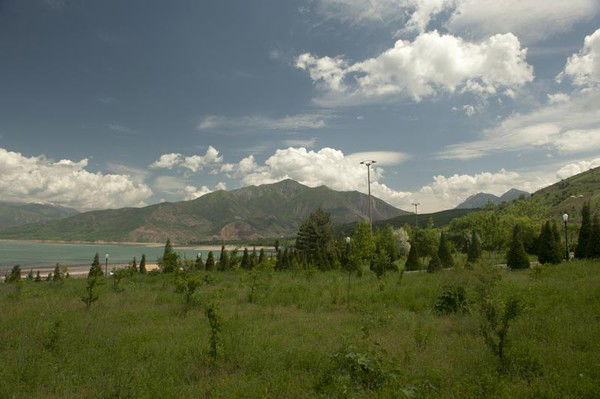 Вячеслав Шурыгин