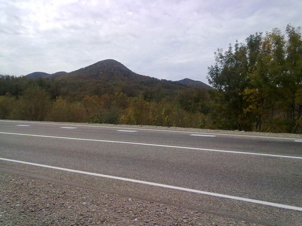 Наталья Шихова