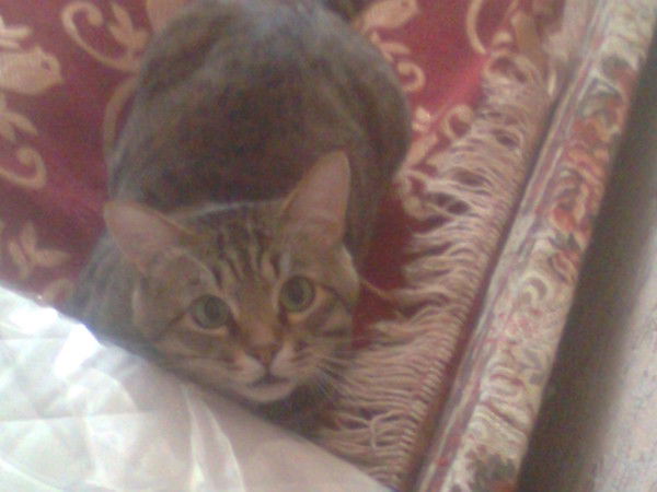 Мария Мария