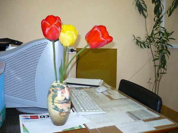 Рамиса Мусина