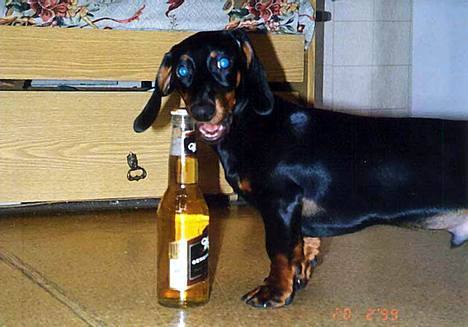 Григорий Киржанов