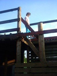 Анна Мясникова