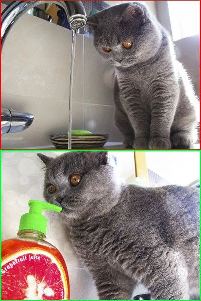 Андрей Кулиш