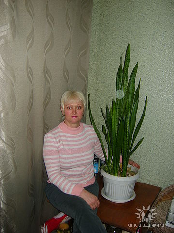 Елена Лебедева