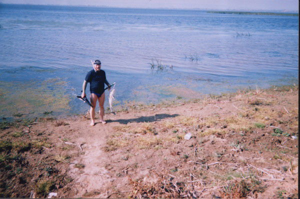 Владимир Толкачев