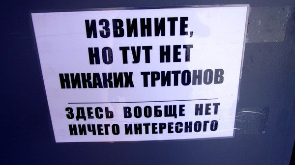 Наталья Сорокина