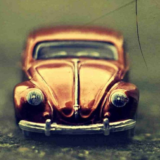 Александр Гулюта