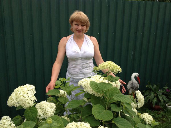 Светлана Григорьева