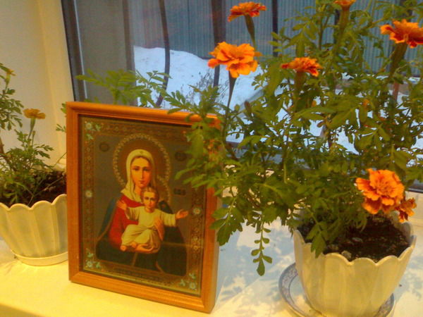 Евгений Лямин