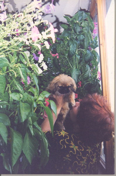 Ирина Бегунова