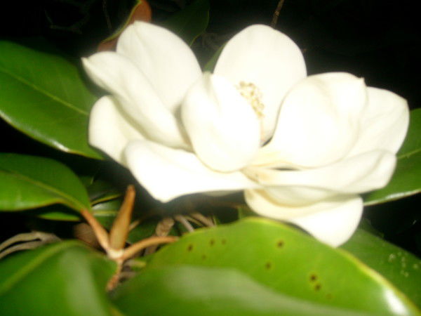 Жанна Родионова